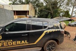 FRONTERA del TRÁFICO: Detienen a PARAGUAYO e incautan 342 kilos de MARIHUANA.