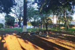 VECINOS OLVIDADOS: Denuncian total ABANDONO de plazas en Ciudad del Este.