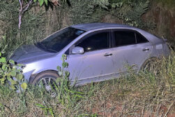 Rastreo satelital permite recuperar un automóvil robado en una zona boscosa