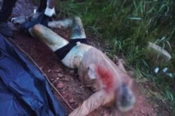 Encuentran cuerpo con impactos de bala en el río Paraná
