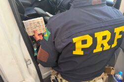 Incautan más de 6.000 tirzepatidas, T.G. de Indufar y TirZec de Quimfa, y detienen a un BRASILEÑO