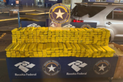 FRONTERA del TRÁFICO: En 3 días incautan más de 900 kilos de MARIHUANA en la cabecera del Puente de la Amistad.