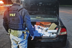 FRONTERA del TRAFICO: Dos procedimientos, mismo lugar, 5 detenidos, y más de 200 kilos de MARIHUANA incautados