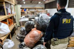 FRONTERA del TRAFICO: Incautan 236 kilos COGOLLO y HACHIS