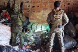 FRONTERA del TRAFICO: Decomisan 800 kilos de MARIHUANA cerca del río Paraná e incautan un furgón con chapa PARAGUAYA