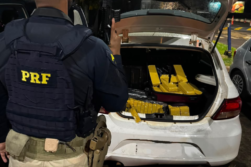 Decomisan MARIHUANA y CIGARRILLOS llevados de Ciudad del Este y detienen a 5 BRASILEÑOS