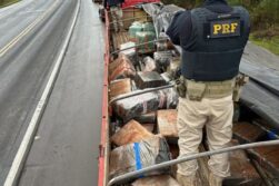 FRONTERA del TRÁFICO: Detienen a CAMIONERO DROGADO transportando 2,5 toneladas de MARIHUANA.