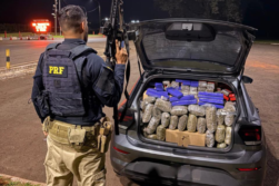 FRONTERA del TRÁFICO: Decomisan 472 kilos de MARIHUANA a 15 kilómetros del Puente de la Amistad