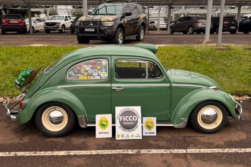 FRONTERA del TRAFICO: Desmantelan LOGISTICA del trafico de MARIHUANA en Foz que tenía como símbolo una FUSCA