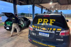 FRONTERA del TRÁFICO: En cuatro procedimientos en 24 horas decomisan 1,2 TONELADAS de MARIHUANA.