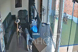 Delincuentes armados roban perfumes, electrónicos y medicamentos a paseros