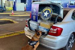Incautan unos 300 kg de supuesta marihuana en la frontera Brasil–Paraguay