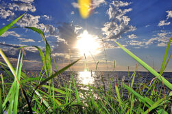 ITAIPU conmemoró 43° aniversario de creación de cuatro áreas protegidas con su rica biodiversidad