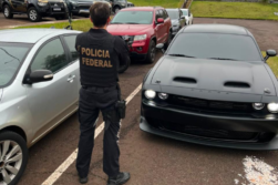Desmantelan BANDA que ofrecía LOGÍSTICA para actividades ilegales en la FRONTERA CDE-FOZ.