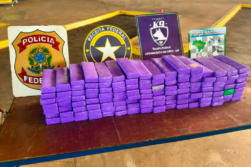 FRONTERA del TRAFICOI: Detienen a PARAGUAYO con 100 kilos de MARIHUANA en el Puente