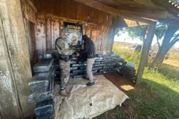 Incautan casi 1.000 kilos de marihuana durante controles de la SENAD y la Armada