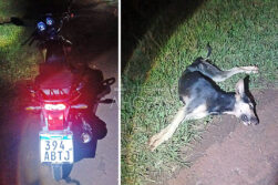 Motociclista de 16 años muere arrollado tras chocar con un perro en la Ruta PY02.