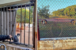 Dos reclusos se fugan de la Penitenciaría Regional de Misiones