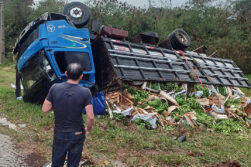 Camión cargado de bananas volcó a la altura del kilómetro 80 de la ruta Py 02