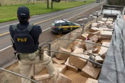 FRONTERA del TRÁFICO: Cae camionero PARAGUAYO con 3,5 TONELADAS de marihuana escondida en carga de TRIGO.